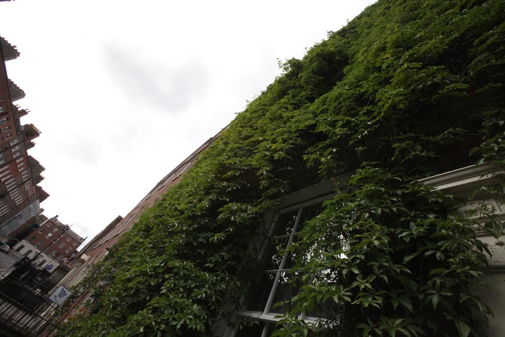 Mec Hostel Dublin Dış mekan fotoğraf